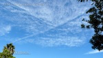 1/5/2012 San Diego 12:00pm - Chemtrail with cloud cover layer forming around it.