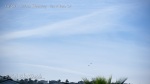 10:13am Two fighter jets do a flyby under chem cloud skies.